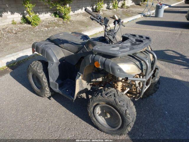  Salvage Vitacci Pentora 150