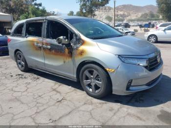  Salvage Honda Odyssey