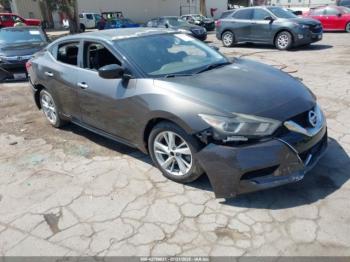  Salvage Nissan Maxima