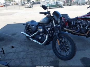  Salvage Harley-Davidson Xl883