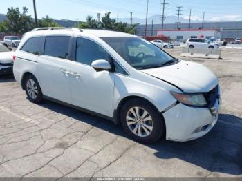  Salvage Honda Odyssey