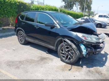  Salvage Honda CR-V