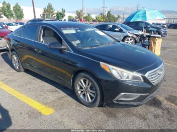  Salvage Hyundai SONATA