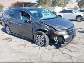  Salvage Honda Odyssey