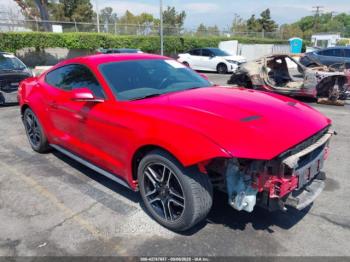  Salvage Ford Mustang