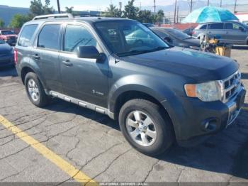  Salvage Ford Escape
