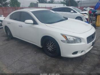  Salvage Nissan Maxima