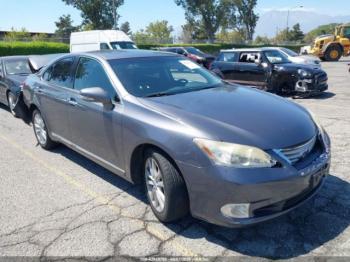  Salvage Lexus Es