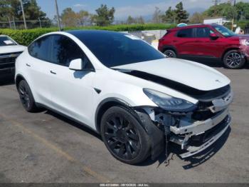  Salvage Tesla Model Y