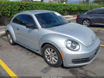  Salvage Volkswagen Beetle