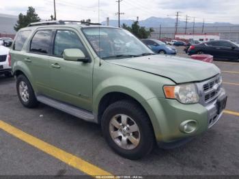  Salvage Ford Escape