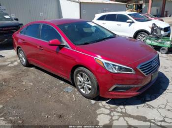  Salvage Hyundai SONATA
