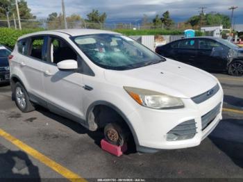  Salvage Ford Escape