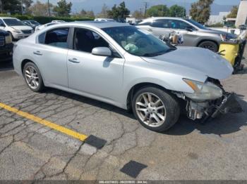  Salvage Nissan Maxima