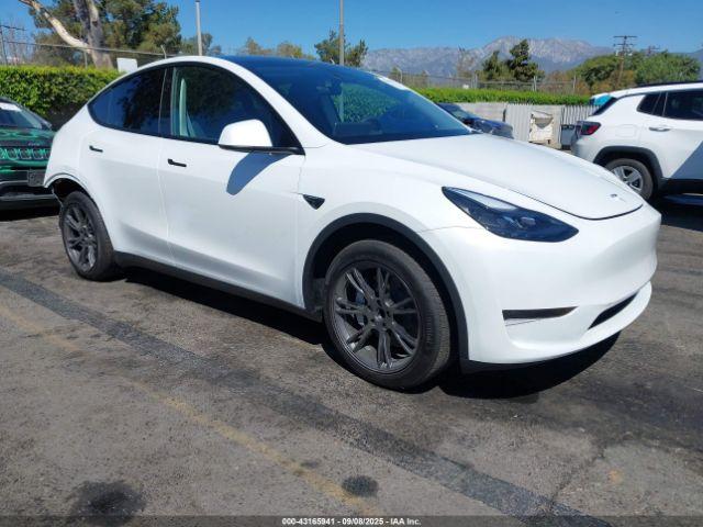  Salvage Tesla Model Y