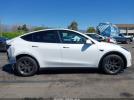 Tesla Model Y Image 13