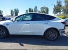Tesla Model Y Image 19
