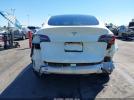 Tesla Model Y Image 12