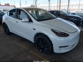  Salvage Tesla Model Y