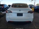 Tesla Model Y Image 11