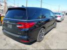 Honda Odyssey Elite Image 5