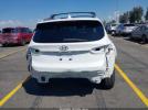 Hyundai SANTA FE Limited Image 8