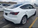 Tesla Model Y Image 4