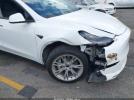 Tesla Model Y Image 6
