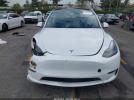 Tesla Model Y Image 18