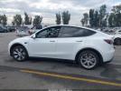 Tesla Model Y Image 2