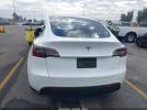 Tesla Model Y Image 11
