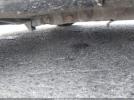 Hyundai ACCENT Se Image 13