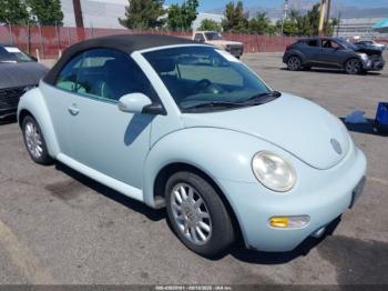  Salvage Volkswagen Beetle