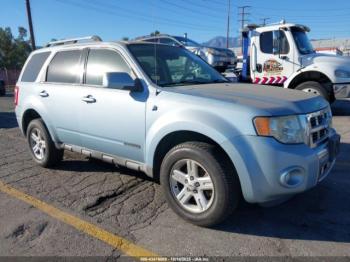  Salvage Ford Escape