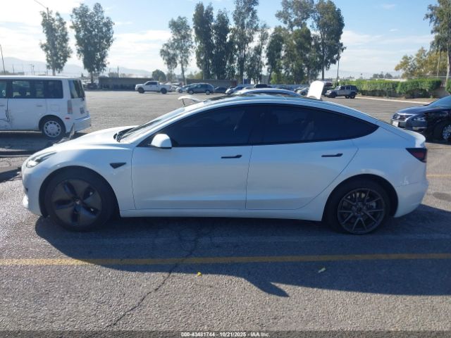 Tesla Model 3 Rear-wheel Drive Image 13