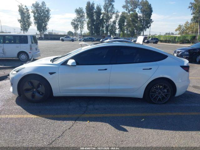 Tesla Model 3 Rear-wheel Drive Image 13