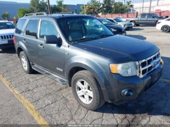  Salvage Ford Escape