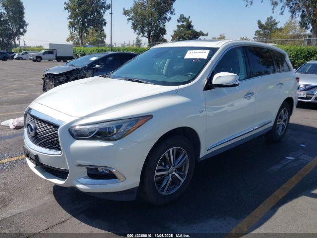 INFINITI Qx Pure Image 6