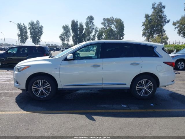 INFINITI Qx Pure Image 5