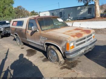  Salvage Dodge Dakota