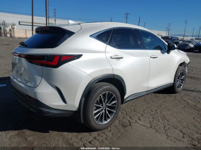 Lexus NX Premium Image 15