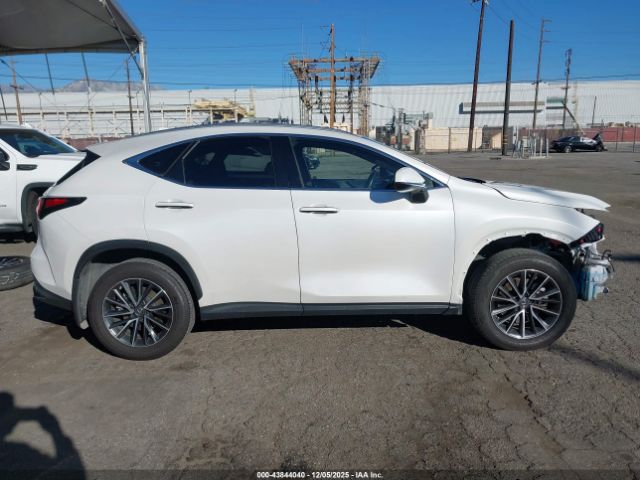Lexus NX Premium Image 5