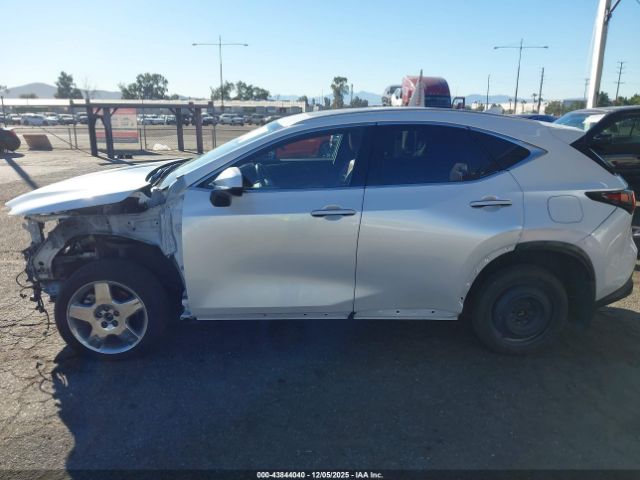 Lexus NX Premium Image 9