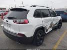 Jeep Cherokee Altitude Fwd Image 5