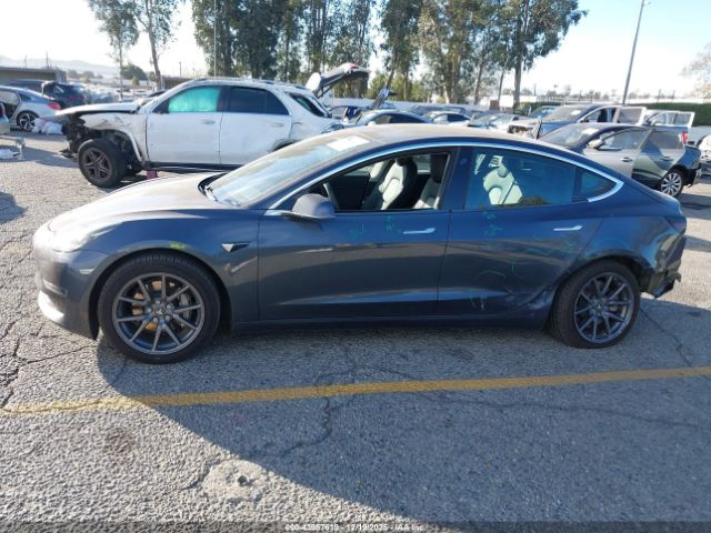 Tesla Model 3 Image 13