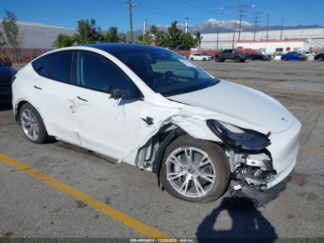  Salvage Tesla Model Y