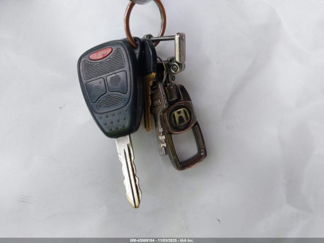 Jeep Wrangler Sahara Image 3