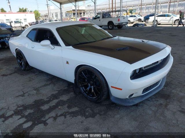 Dodge Challenger Image 1