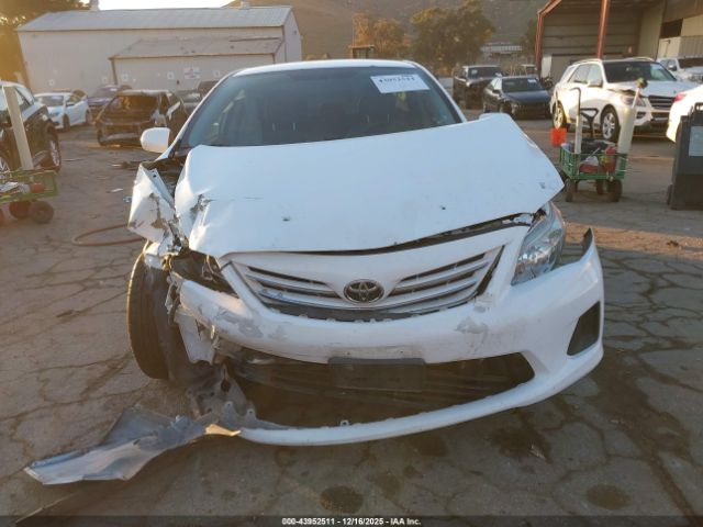 Toyota Corolla Le Image 2