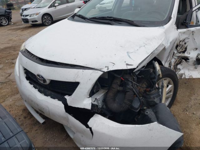 Toyota Corolla Le Image 6